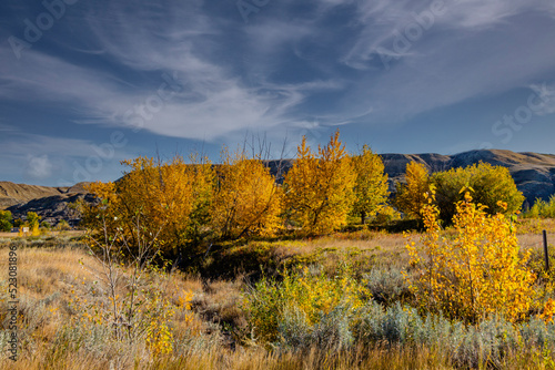 Fall colours dot the badlands. Tolman Badlands Heritage Rangeland Natural Area, Alberta, Canada