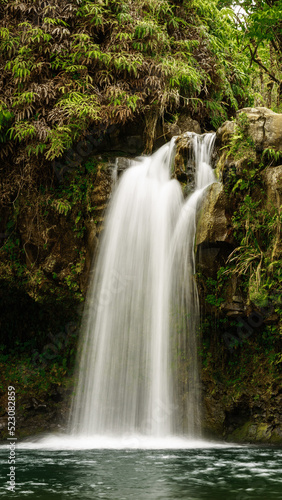 Fototapeta Naklejka Na Ścianę i Meble -  Waterfall in Hana Hawaii