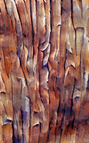 Digital illustration abstract background painted wood texture