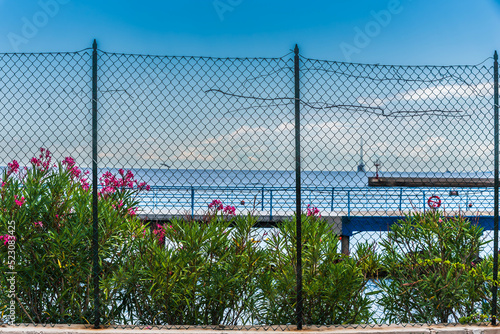 chain-link fence with mediterranean flowers in the harbor of trieste, italy