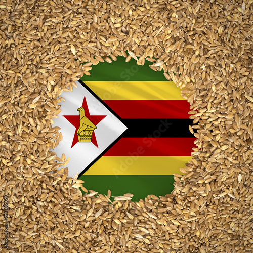 Flag of zimbabwe with grains of wheat. Natural whole wheat concept with flag of zimbabwe