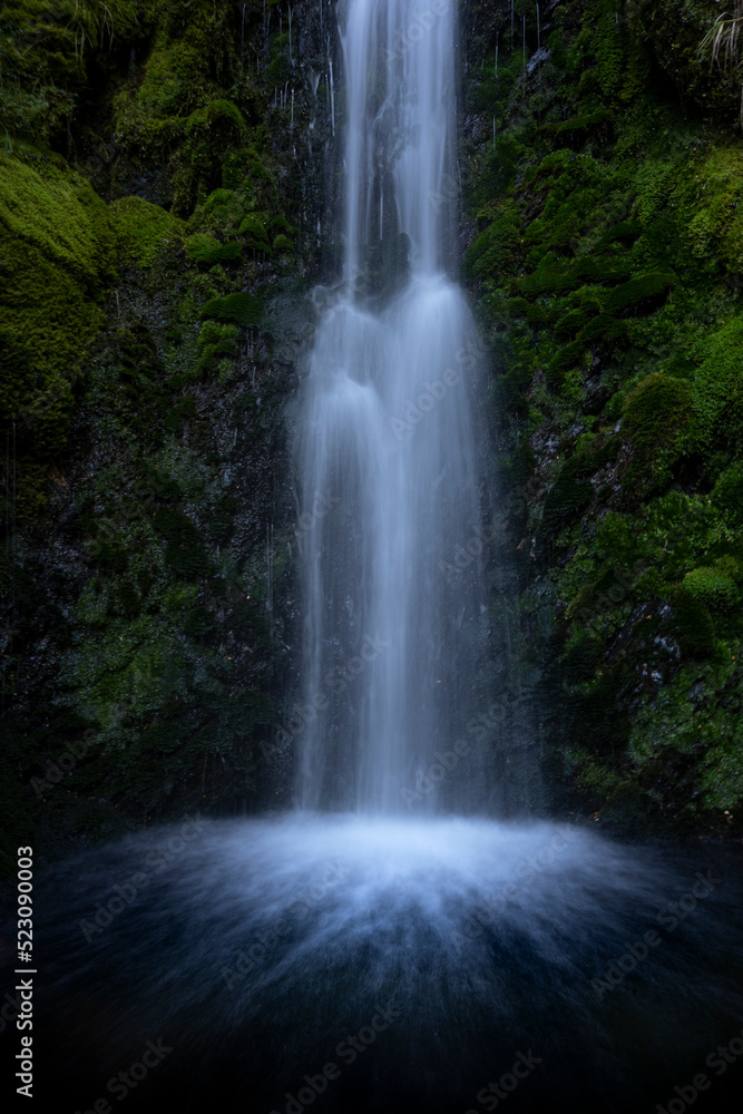 waterfall in the forest waterfall in the forest