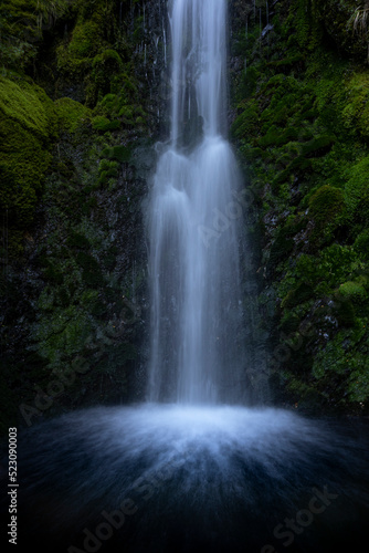 waterfall in the forest © Daniel Thomas