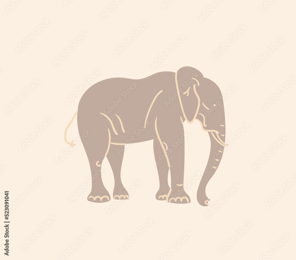 Obraz premium elephant isolated on white