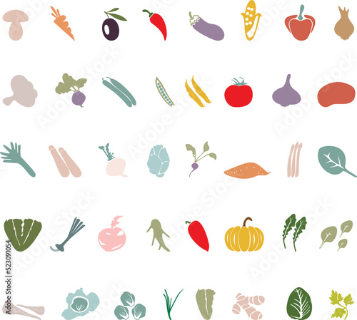 colored vegetables on a white background.
