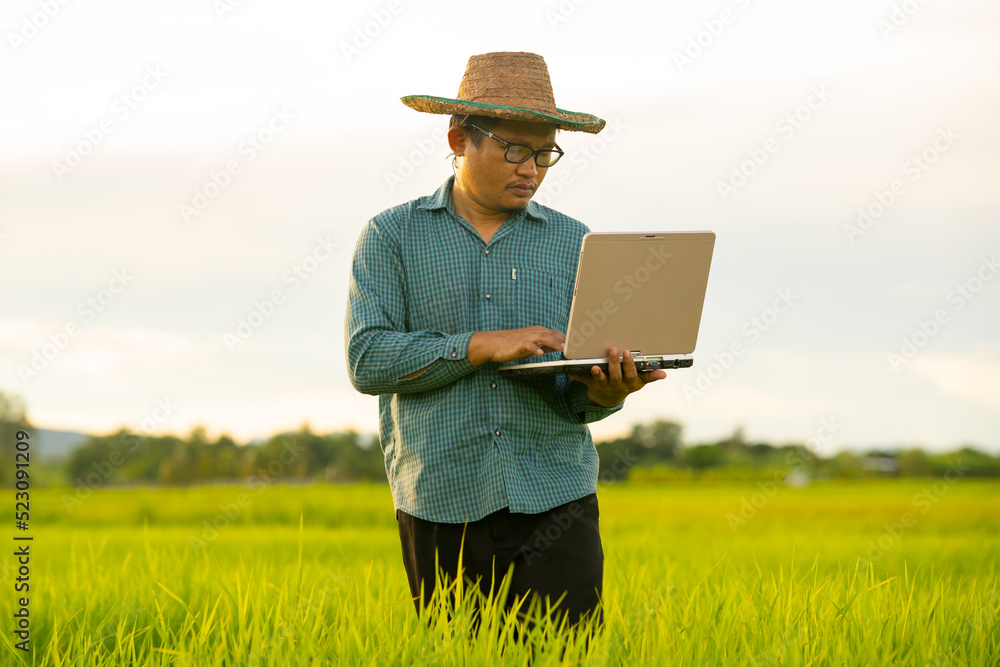 Farmer holding laptop for checking rice field in organic farm of agriculture Farmer holding laptop for checking rice field in organic farm of agriculture