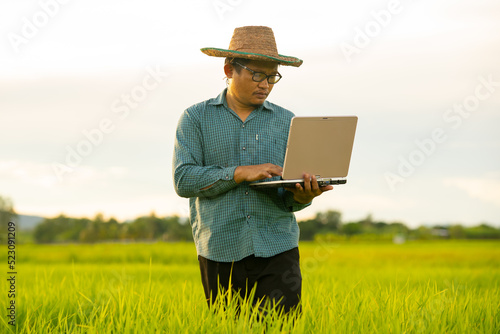 Farmer holding laptop for checking rice field in organic farm of agriculture