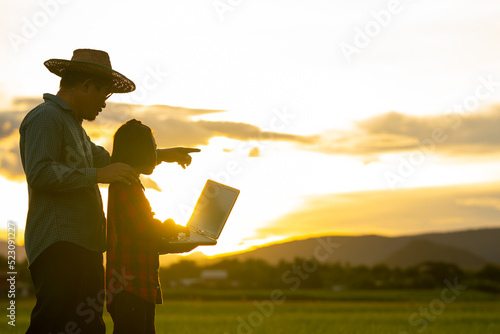 Father and children looking rice field and checking on laptop on sunset sky background
