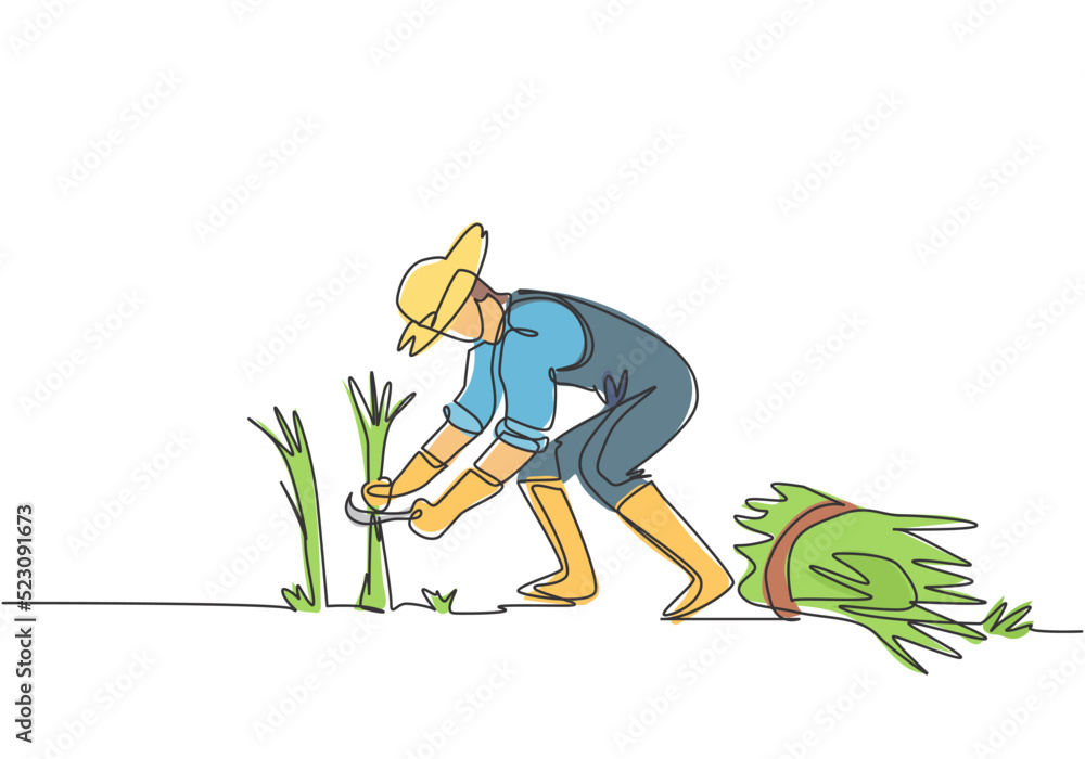 Single one line drawing of young male farmer was harvesting rice and