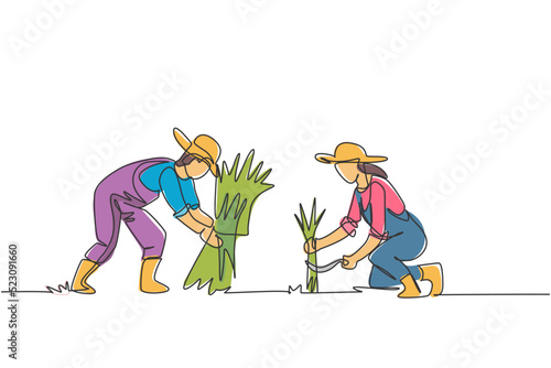Single one line drawing of couple farmer was harvesting rice and there was also rice that had been tied up. Farming challenge minimal concept. Continuous line draw design graphic vector illustration.