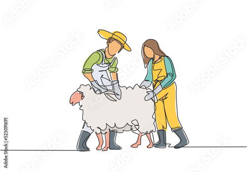 Single continuous line drawing couple farmer was cutting fleece to make a sweater. Done professionally for satisfactory results. Minimalism concept. One line draw graphic design vector illustration.
