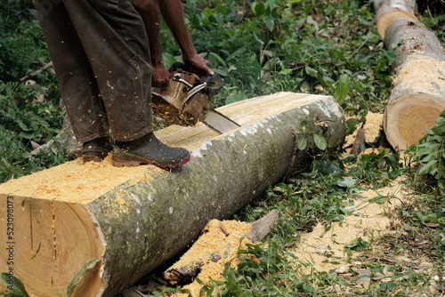 A worker cuts wood with a woodcutter