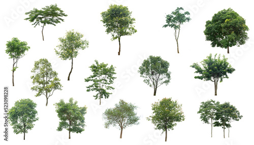 Green tree set pattern on the isolated white background, eco and nature plant environment related for design, alone element or single tree forest and outdoor