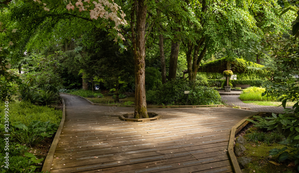 Naklejka premium Sendall Gardens in a modern suburban city park. Summer season. Langley, Greater Vancouver, British Columbia, Canada.