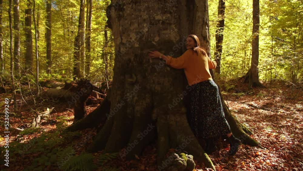 Pretty girl hugs the mighty and tall tree trunk surrounded colorful landscape and fallen leaves in autumn forest. young woman enjoys hugging the magestic tree and looks at it with admiration. Pretty girl hugs the mighty and tall tree trunk surrounded colorful landscape and fallen leaves in autumn forest. young woman enjoys hugging the magestic tree and looks at it with admiration.