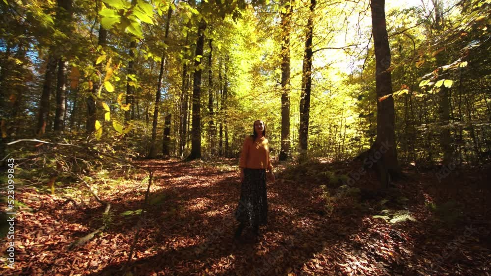 Beautiful girl is walking among the scenic autumn forest covered with fallen leaves and golden sunrays. woman is turning around, enjoying the beauty of fall nature and exploring it with admiration. Beautiful girl is walking among the scenic autumn forest covered with fallen leaves and golden sunrays. woman is turning around, enjoying the beauty of fall nature and exploring it with admiration.