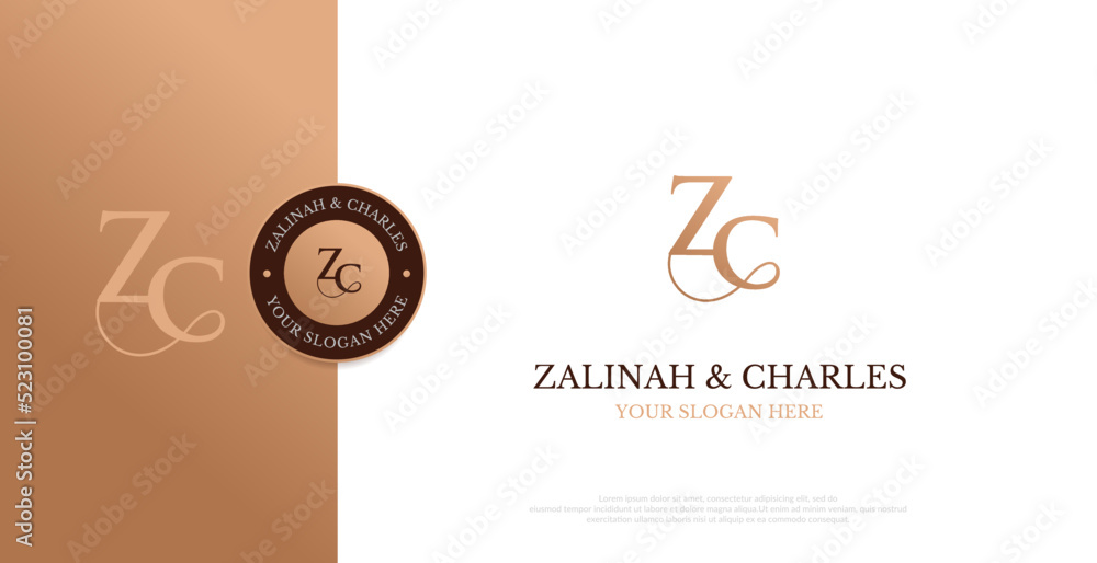 Initial ZC Logo Design Vector