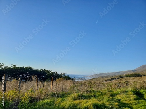 landscape with trees