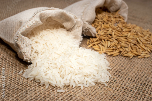 Paddy rice and white rice in burlap sack bag on burlap background.