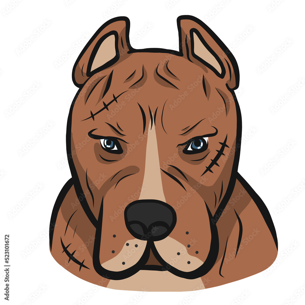 Fototapeta premium American pit-bull dog face cartoon 