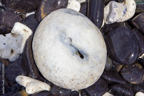 Stones on the Beach