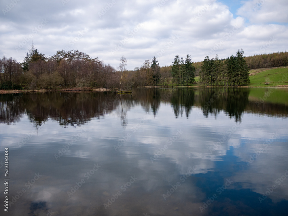 lake in the forest, Lake District, United Kingdom lake in the forest, Lake District, United Kingdom