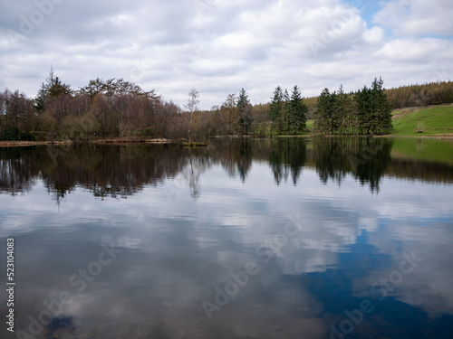 lake in the forest, Lake District, United Kingdom