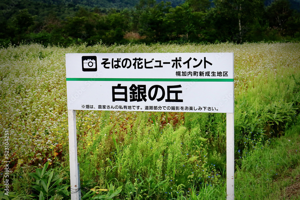 白銀の丘 / 幌加内の蕎麦畑のビューポイント 白銀の丘 / 幌加内の蕎麦畑のビューポイント