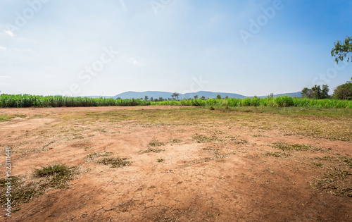 Empty dry cracked swamp reclamation soil, land plot for housing construction project with car tire print in rural area and beautiful blue sky with fresh air Land for sales landscape concept.