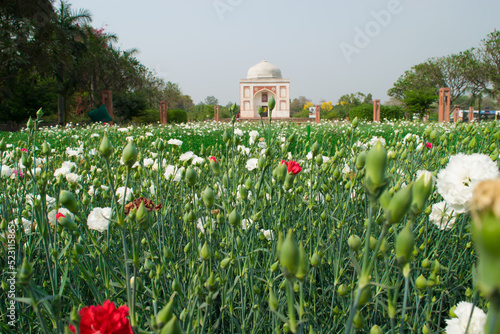 Landscape of Sunder Nursery, It is a 16th Century Heritage Park. A UNESCO Heritage Site of New Delhi , India.