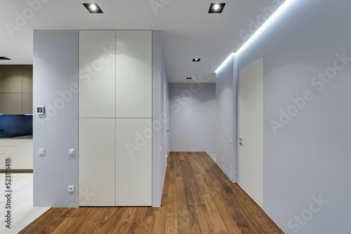 hallway with built-in wardrobe, modern apartment interior