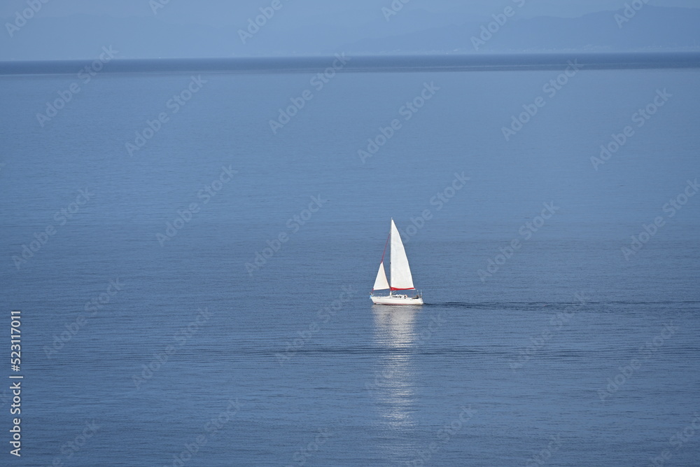 駿河湾を優雅に進む白いヨット