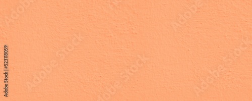 Rose Gold Emulsion wall paint texture rectangle background