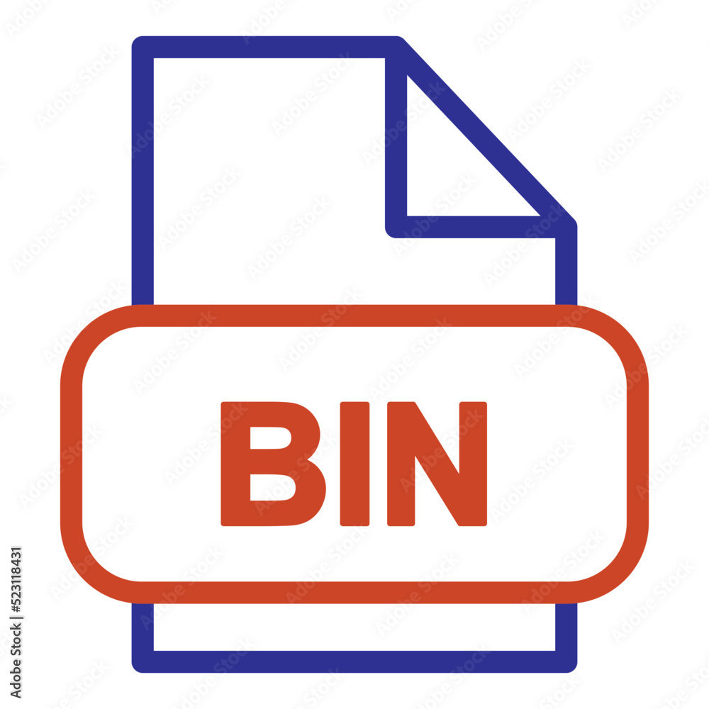 BIN File BIN File