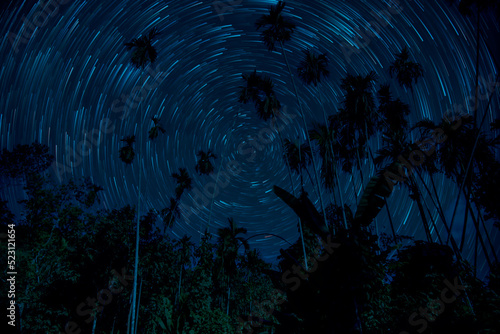 The stars night of startails over of toddy palm field in Thailand - Pathum Thani province photo