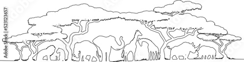 African Animal Africa Safari Scene Line Silhouette