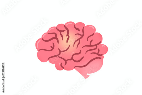 Illustration d'un cerveau rose, dessin sur fond isolé photo