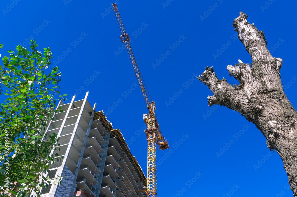 A tower construction crane on a blue sky background. Boom rotary crane with boom. A tree without leaves and the frame of a multi-storey building under construction.