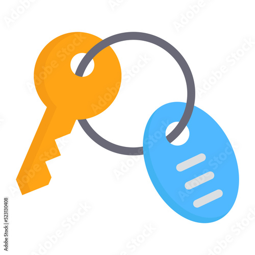 room key flat icon