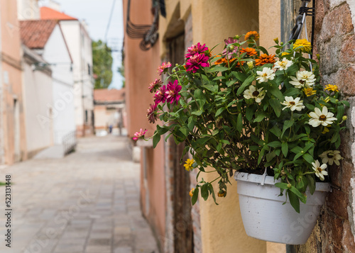 white pot with colorful flowers hanging outside a house in Italy © gammaphotostudio