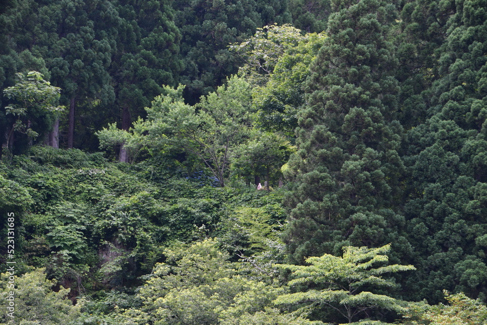 Naklejka premium お地蔵様 夢幻峡の渡し舟からの眺め