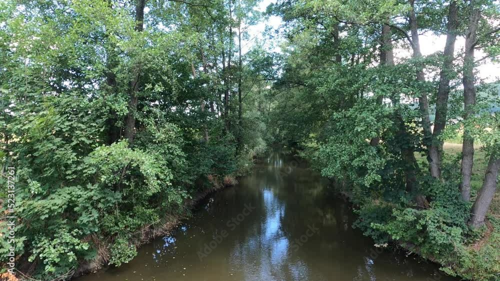 stream flowing through the forest