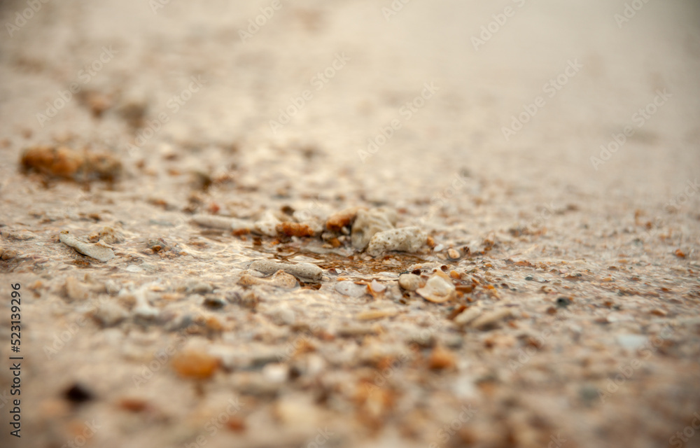Broken corals washed into the beach with waves Broken corals washed into the beach with waves