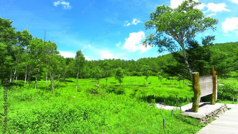 入笠湿原 in 富士見パノラマリゾート 長野県