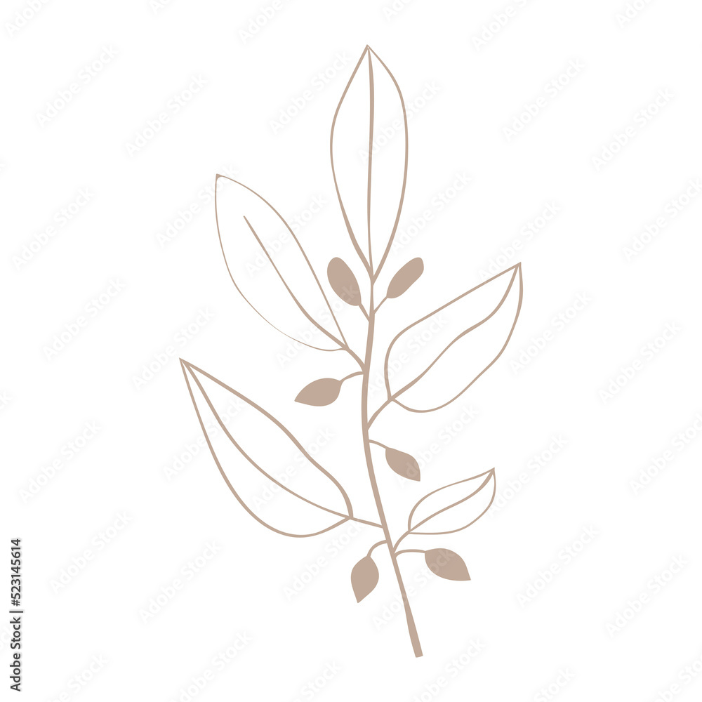 Obraz premium Forest herbs simple linear icon. Plants are drawn with a line.