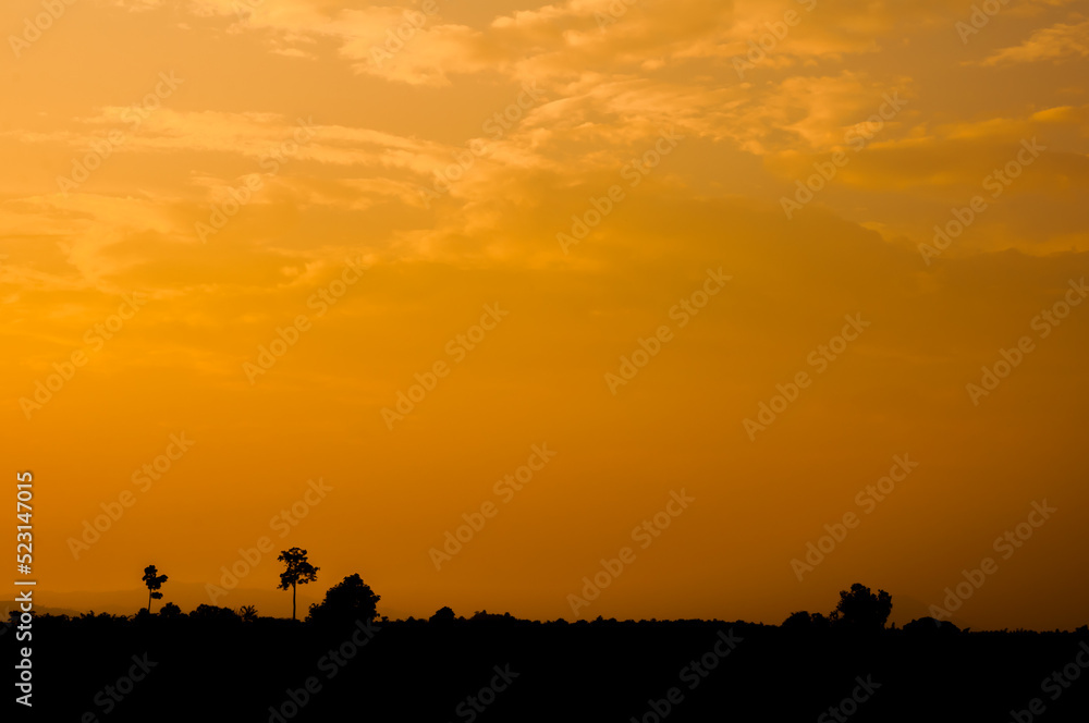 silhouette of a horse and sunset