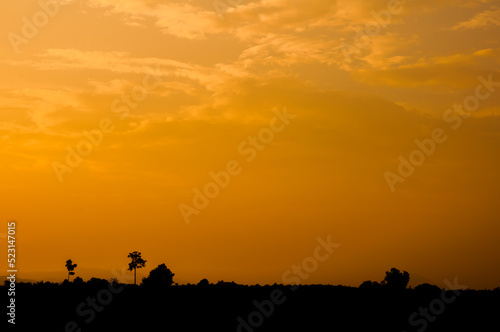 silhouette of a horse and sunset
