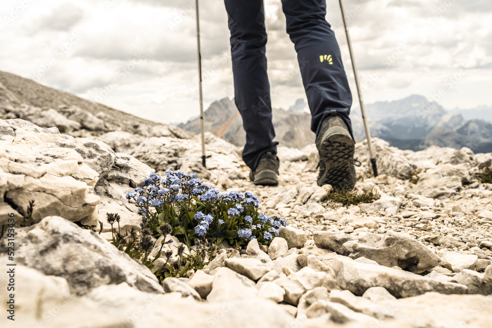 Legs of young woman hiking on beautiful mountain trail from Seekofel to Baires Lake in the afternoon. View on legs and hiking shoes from the front. Seekofel , Dolomites, South Tirol, Italy, Europe.
Legs of young woman hiking on beautiful mountain trail from Seekofel to Baires Lake in the afternoon. View on legs and hiking shoes from the front. Seekofel , Dolomites, South Tirol, Italy, Europe.