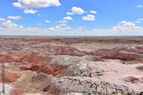 Scenic view of Petrified Forest National Park in Arizona, EEUU.