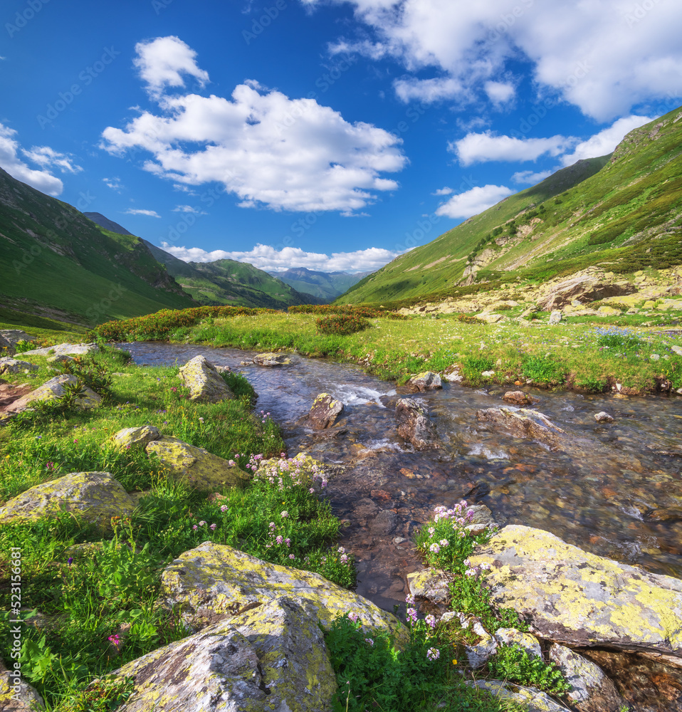 Obraz premium Pure river in mountain valley.